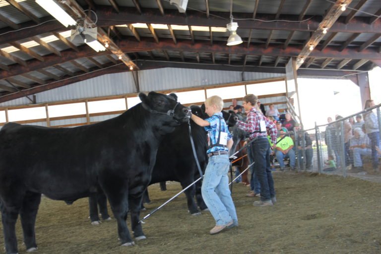 We Welcome Your Feedback - Garrett County Agriculture Fair