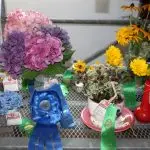 Entry For Indoor Exhibits Starts Saturday